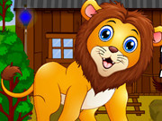 Avm Rescue The Forest Lion