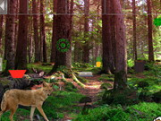 Wild Fox Forest Escape