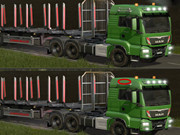 Man Forestry Trucks Differences