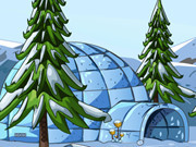 Knf Penguin Rescue From Igloo House