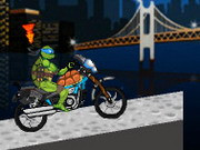 Turtles Racing