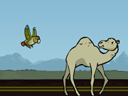 Jontron: Bird Vs. Camel