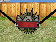 Hedgehog Launch