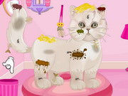 Persian Cat Princess Spa Salon
